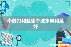 小苏打和盐哪个洗水果和菜好