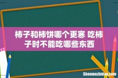 柿子和柿饼哪个更寒 吃柿子时不能吃哪些东西