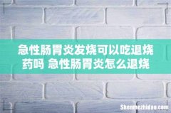 急性肠胃炎发烧可以吃退烧药吗 急性肠胃炎怎么退烧
