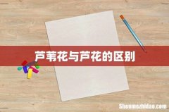 芦苇花与芦花的区别