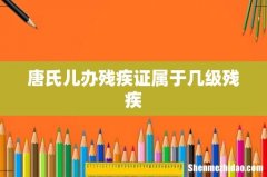 唐氏儿办残疾证属于几级残疾