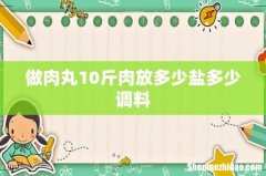 做肉丸10斤肉放多少盐多少调料