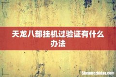 天龙八部挂机过验证有什么办法