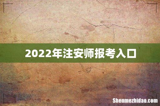 2022年注安师报考入口