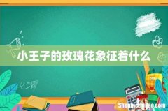 小王子的玫瑰花象征着什么
