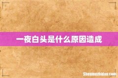 一夜白头是什么原因造成