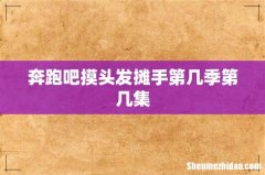 奔跑吧摸头发摊手第几季第几集