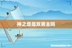 神之塔是双男主吗