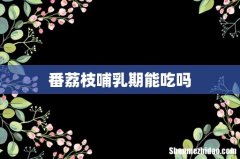 番荔枝哺乳期能吃吗
