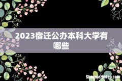 2023宿迁公办本科大学有哪些