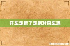 开车走错了走到对向车道