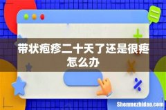 带状疱疹二十天了还是很疼怎么办