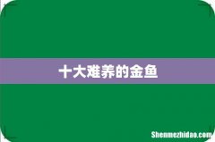 十大难养的金鱼