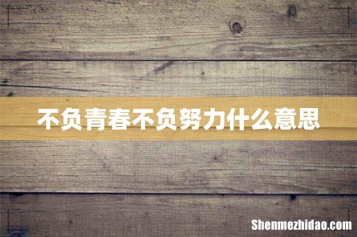 不负青春不负努力什么意思