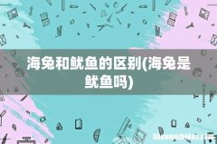 海兔是鱿鱼吗 海兔和鱿鱼的区别