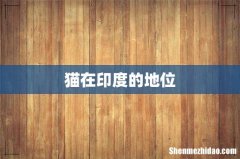 猫在印度的地位