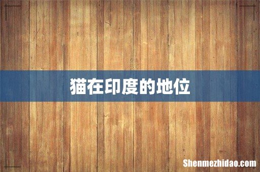 猫在印度的地位
