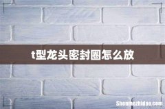 t型龙头密封圈怎么放