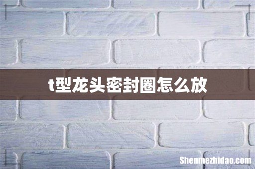 t型龙头密封圈怎么放