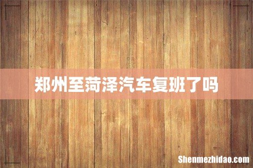 郑州至菏泽汽车复班了吗