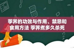 荸荠的功效与作用、禁忌和食用方法 荸荠煮多久杀死寄生虫