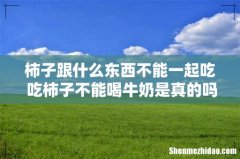 柿子跟什么东西不能一起吃 吃柿子不能喝牛奶是真的吗