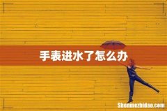 手表进水了怎么办
