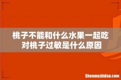 桃子不能和什么水果一起吃 对桃子过敏是什么原因