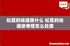 松茸的味道像什么 松茸的味道很奇怪怎么处理