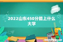 2022山东450分能上什么大学