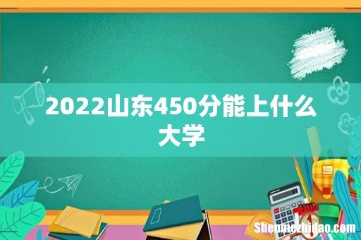 2022山东450分能上什么大学