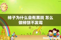 柿子为什么会有黑斑 怎么做柿饼不发霉