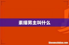 素描男主叫什么