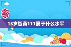 13岁智商111属于什么水平