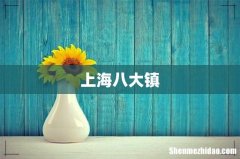 上海八大镇