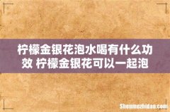 柠檬金银花泡水喝有什么功效 柠檬金银花可以一起泡水吗