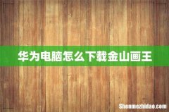 华为电脑怎么下载金山画王
