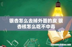 银杏怎么去掉外面的皮 银杏核怎么吃不中毒