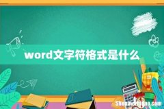 word文字符格式是什么