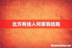 北方有佳人何家驹结局