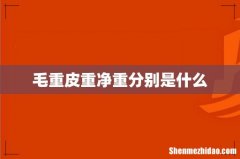 毛重皮重净重分别是什么