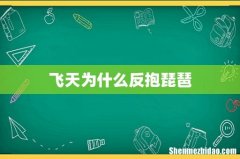 飞天为什么反抱琵琶