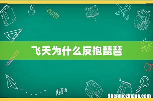 飞天为什么反抱琵琶