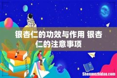 银杏仁的功效与作用 银杏仁的注意事项