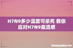 H7N9多少温度可杀死 教你应对H7N9禽流感