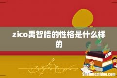 zico禹智皓的性格是什么样的