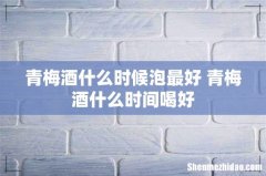 青梅酒什么时候泡最好 青梅酒什么时间喝好