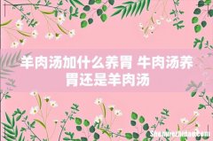 羊肉汤加什么养胃 牛肉汤养胃还是羊肉汤