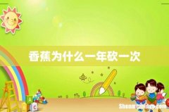 香蕉为什么一年砍一次