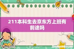 211本科生去京东方上班有前途吗